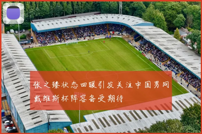 张之臻状态回暖引发关注中国男网戴维斯杯阵容备受期待