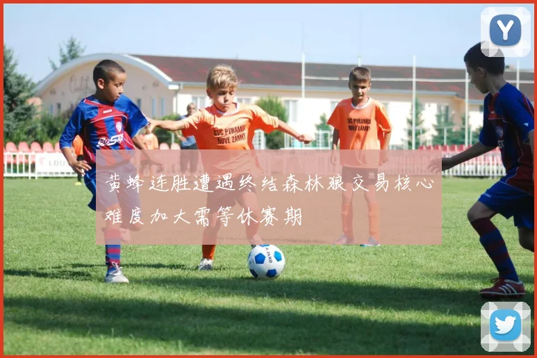 黄蜂连胜遭遇终结森林狼交易核心难度加大需等休赛期