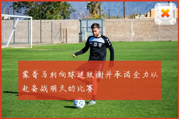 蒙哥马利向球迷致谢并承诺全力以赴备战明天的比赛