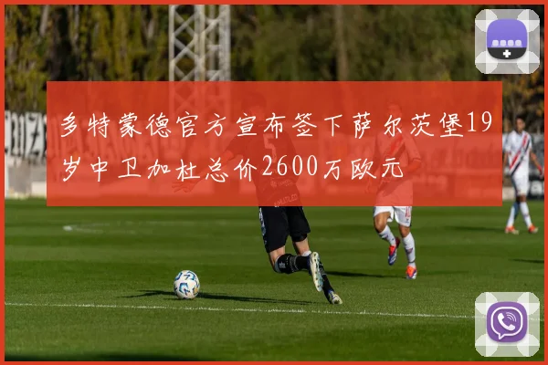 多特蒙德官方宣布签下萨尔茨堡19岁中卫加杜总价2600万欧元