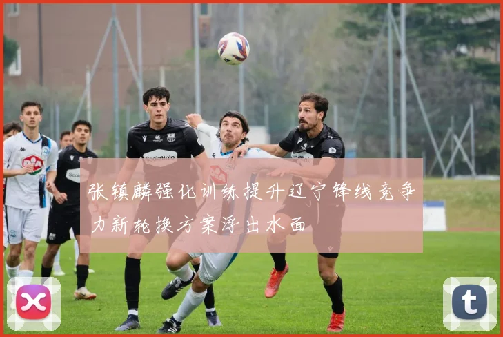 张镇麟强化训练提升辽宁锋线竞争力新轮换方案浮出水面